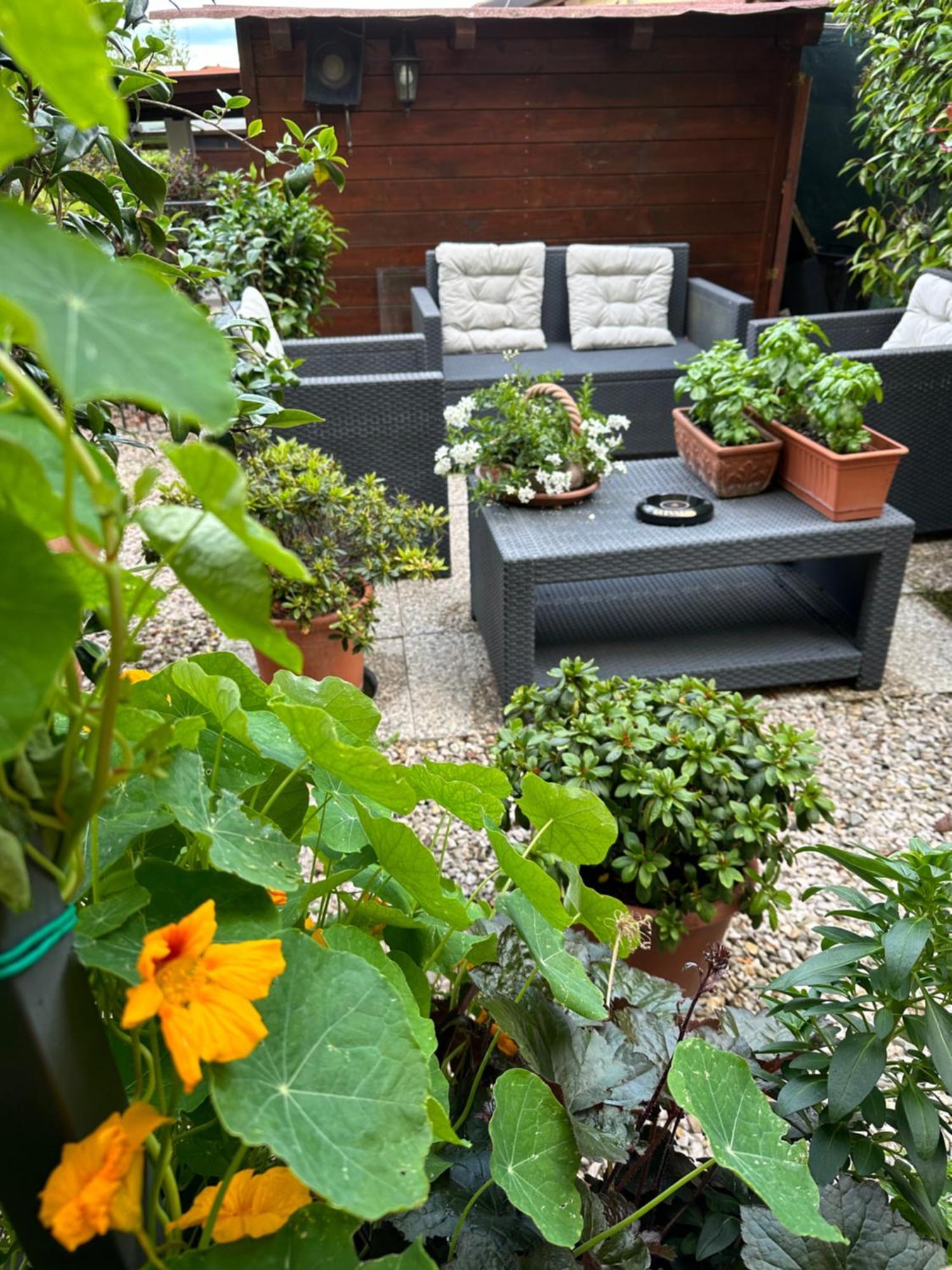 Villa "Corte De' Baldi" 오르티냐노 라기올로 외부 사진
