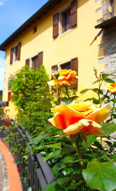 Villa "Corte De' Baldi" 오르티냐노 라기올로 외부 사진